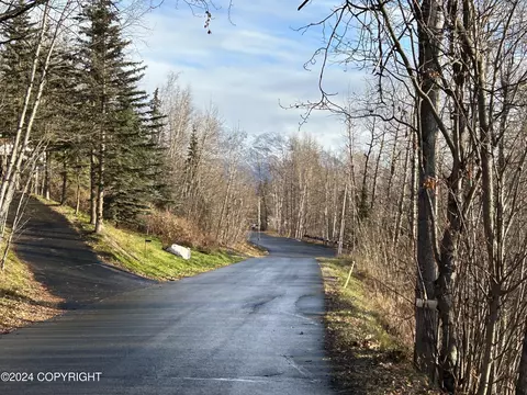 Other - 22419 Glacier View Dr, Eagle River, AK 99577 photo 28 of 28