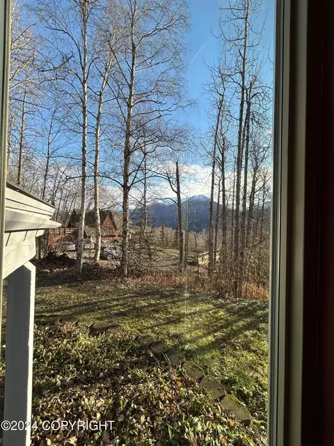 Other - 22419 Glacier View Dr, Eagle River, AK 99577 photo 7 of 28