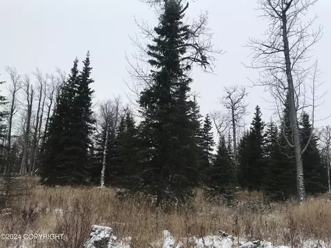 65145 Glenwood Ave, Ninilchik, AK 99639