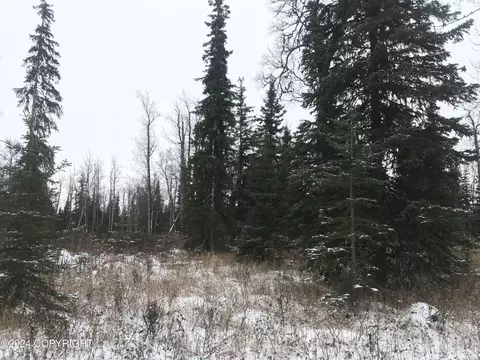 65173 Glenwood Ave, Ninilchik, AK 99639