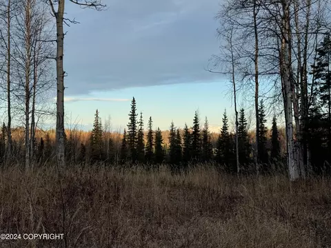 39414 Flatstone Ct, Soldotna, AK 99669