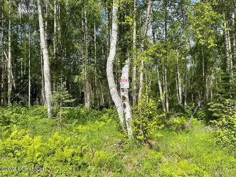 48484 S Grizzly Bear Cir, Willow, AK 99688