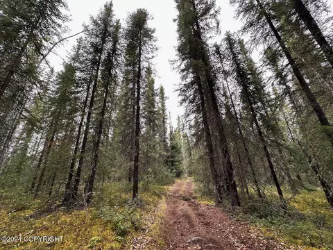 Tract 6& 7 Ak-2, Dot Lake, AK 99780
