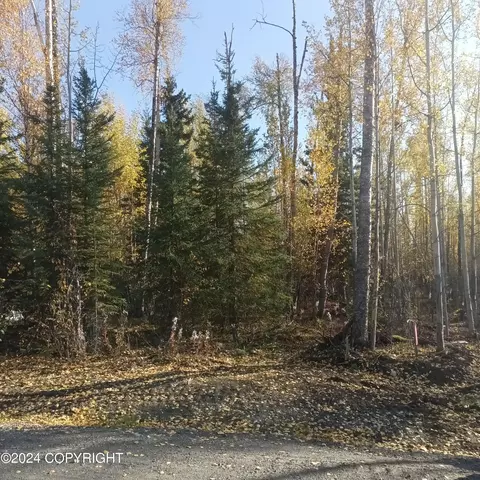 14928 W Concord St, Big Lake, AK 99652