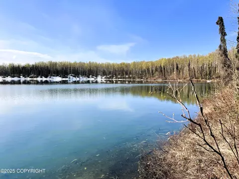 48555 Rainbow Ridge Dr, Willow, AK 99688