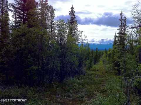 B4 - L4 Jude No Road Road, Glennallen, AK 99588