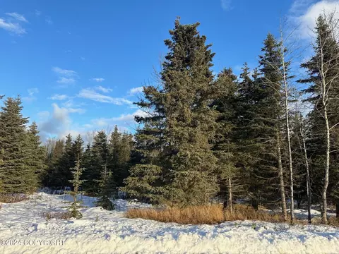 66386 Aspen Ave, Ninilchik, AK 99639