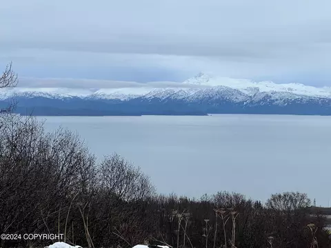 Tr A Terra Bella, Homer, AK 99603