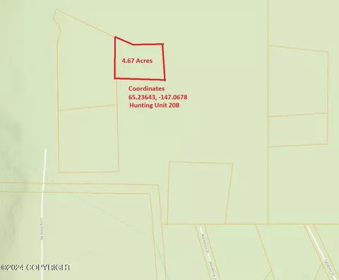 Nhn Steese Highway, Remote, AK 99000