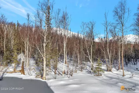 View/Area - 4657 E Gemini Ln, Wasilla, AK 99654 photo 1 of 6