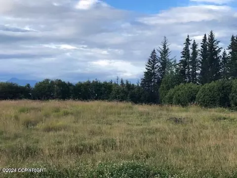 745 End Rd, Homer, AK 99603 photo 6