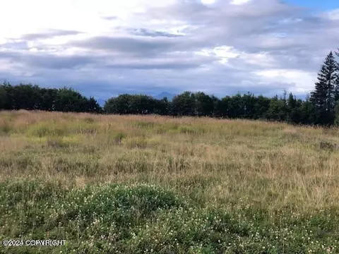 745 End Rd, Homer, AK 99603 photo 5