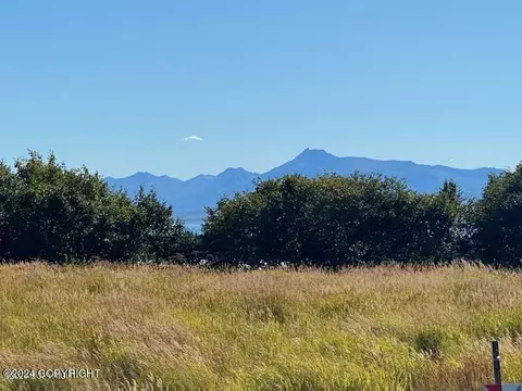 745 End Rd, Homer, AK 99603 photo 4