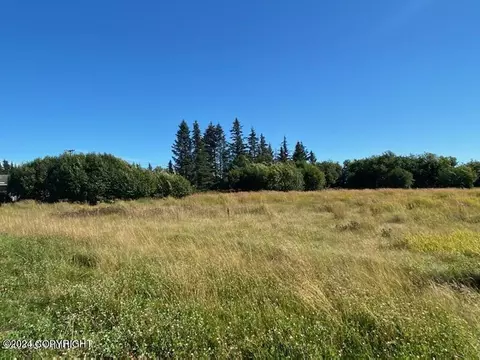 745 End Rd, Homer, AK 99603 photo 10