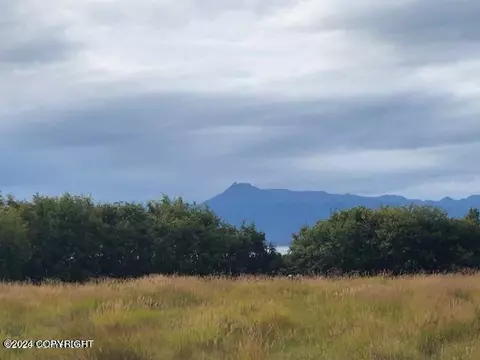 745 End Rd, Homer, AK 99603 photo 8