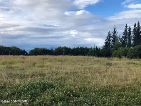 745 End Rd, Homer, AK 99603 photo 26