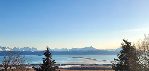 1325 Dons Dr, Homer, AK 99603