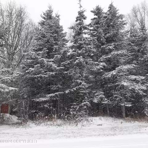 1117 1st St, Kenai, AK 99611 photo 2