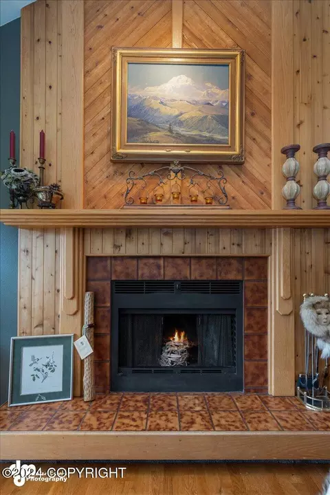 Other - 19205 Andreanof Dr, Eagle River, AK 99577 photo 3 of 14