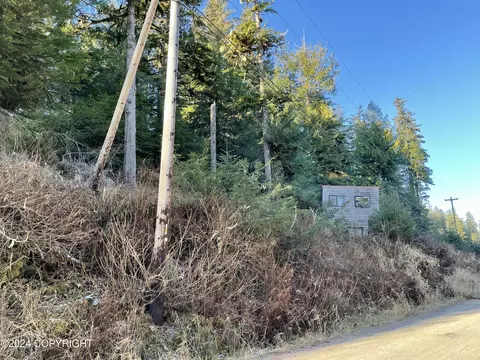 L9 B5 Beach Road, Whale Pass, AK 99921