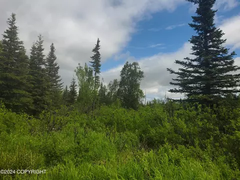 35050 N Fork Rd, Anchor Point, AK 99556 photo 8