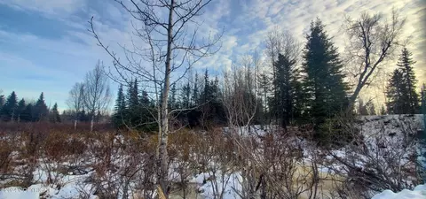 35050 N Fork Rd, Anchor Point, AK 99556 photo 3
