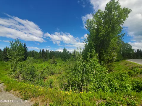 35050 N Fork Rd, Anchor Point, AK 99556 photo 6