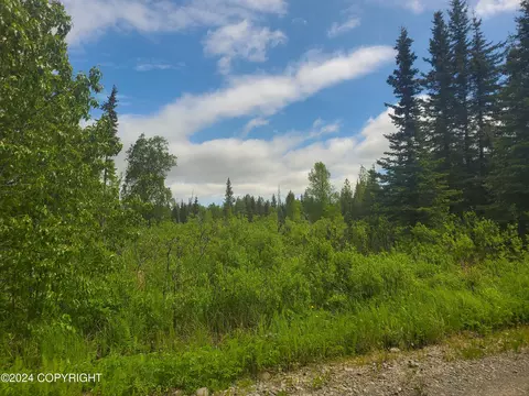 35050 N Fork Rd, Anchor Point, AK 99556 photo 5