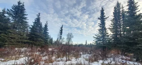 35050 N Fork Rd, Anchor Point, AK 99556 photo 2