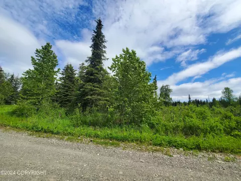 35050 N Fork Rd, Anchor Point, AK 99556 photo 7