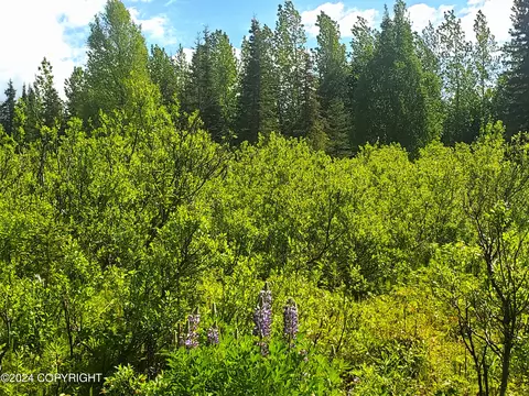35050 N Fork Rd, Anchor Point, AK 99556 photo 4