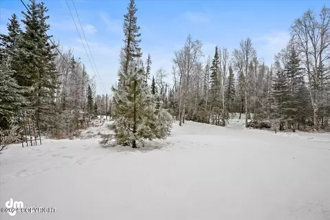 Exterior - 3541 E 112th Ave, Anchorage, AK 99516 photo 18 of 22