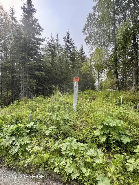 Nhn Mark Boulevard, Nikiskinorth Kenai, AK 99611