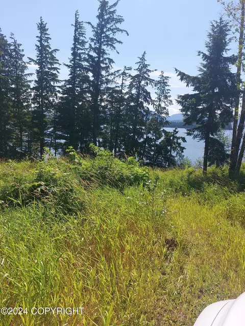 2 5 Mile Port St Nicholas Rd, Craig, AK 99921