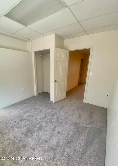 6101 Gershmel Loop, Palmer, AK 99645 photo 53