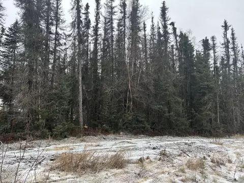 1616 N Kerry Lynn Ln, Wasilla, AK 99623