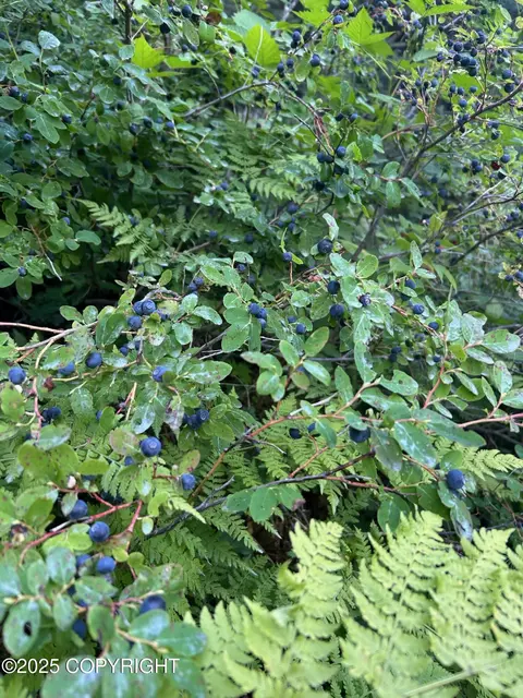 L2 & 2a Rocky Street, Seldovia, AK 99663