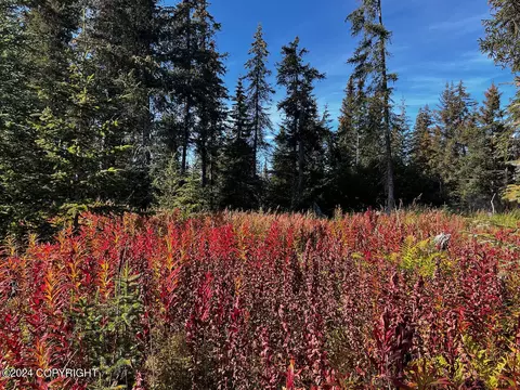Nka Long Avenue, Homer, AK 99603