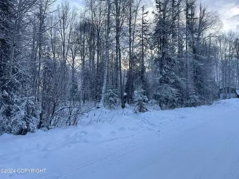11235 N Deshka Loop, Willow, AK 99694 photo 4