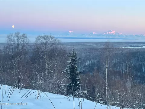 15300 W Willow Fishhook Rd, Willow, AK 99688