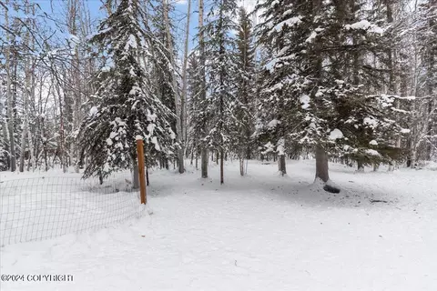 View/Area - 3338 Dundee Loop, North Pole, AK 99705 photo 2 of 2
