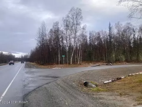 15511 E Maddie Ct, Talkeetna, AK 99676