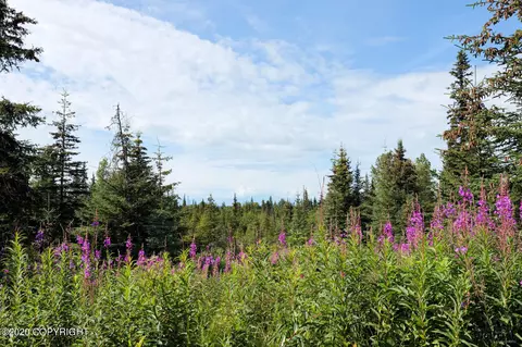 C13 Alaskan Wildwood Ranch®, Anchor Point, AK 99556