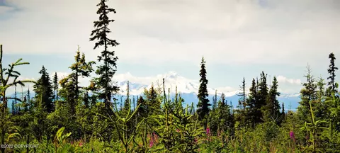 D23 Alaskan Wildwood Ranch, Nikolaevsk, AK 99556