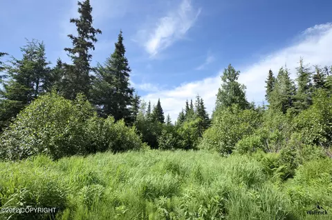 W1 Alaskan Wildwood Ranch, Nikolaevsk, AK 99556