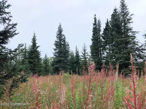 W3 Alaskan Wildwood Ranch, Nikolaevsk, AK 99556