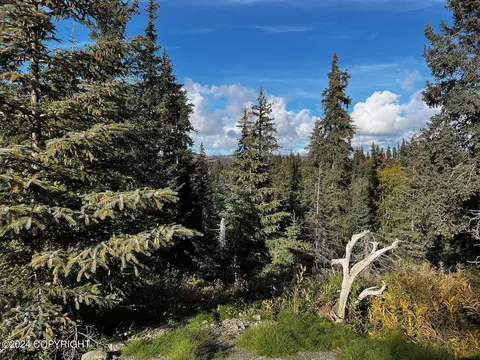Nka Jolly Avenue, Homer, AK 99603