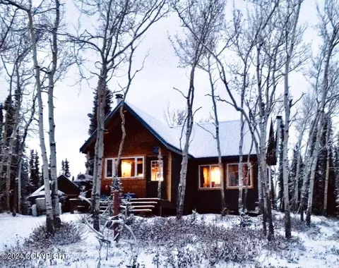 Asls 93-50 Plat 96-14 Elsie Lake No Road, Glennallen, AK 99588
