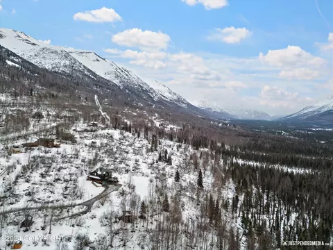 View/Area - 24010 The Clearing Dr, Eagle River, AK 99577 photo 6 of 6