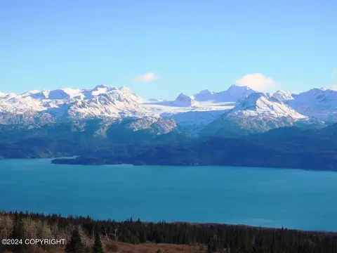 35815 Cloverdale Cir, Homer, AK 99603